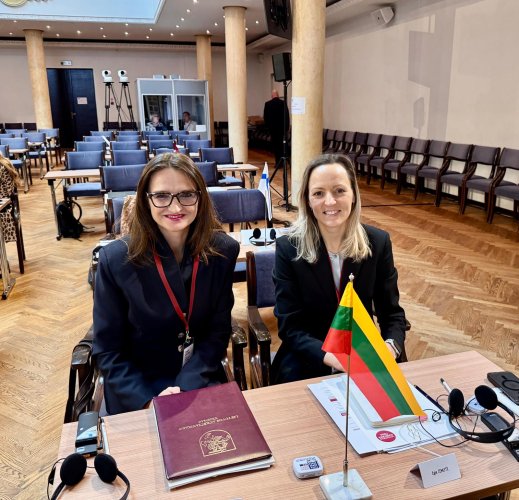 D. Bublienė: teismų sprendimai formuoja ne tik teisę, bet ir ekonomikos aplinką